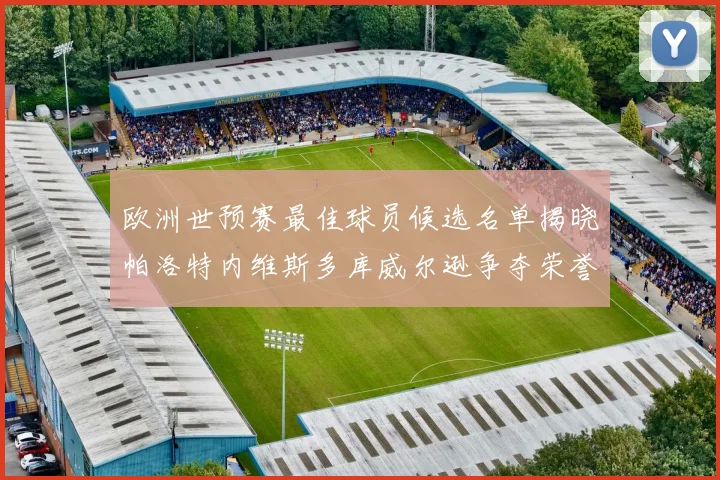 欧洲世预赛最佳球员候选名单揭晓帕洛特内维斯多库威尔逊争夺荣誉