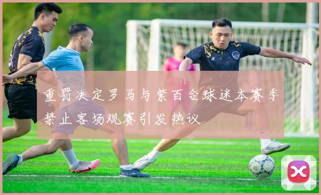 重罚决定罗马与紫百合球迷本赛季禁止客场观赛引发热议