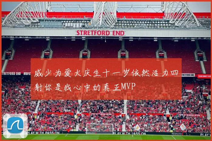 威少为爱犬庆生十一岁依然活力四射你是我心中的真正MVP