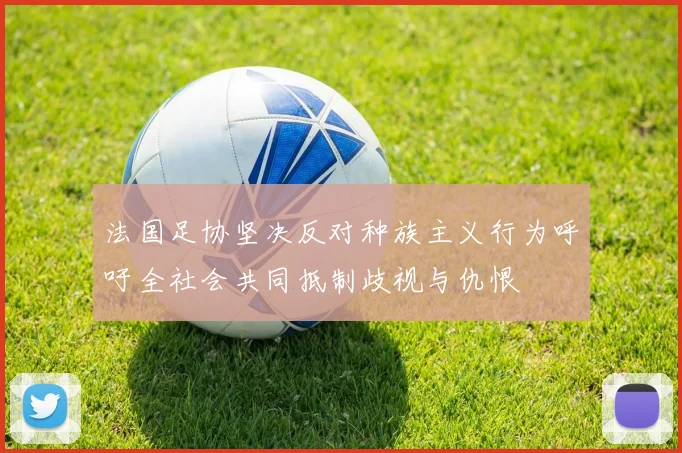 法国足协坚决反对种族主义行为呼吁全社会共同抵制歧视与仇恨